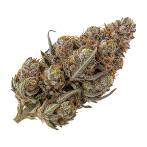 Cannamedical Hybrid Forte NM 22/1 "Gorilla Zkittlez"