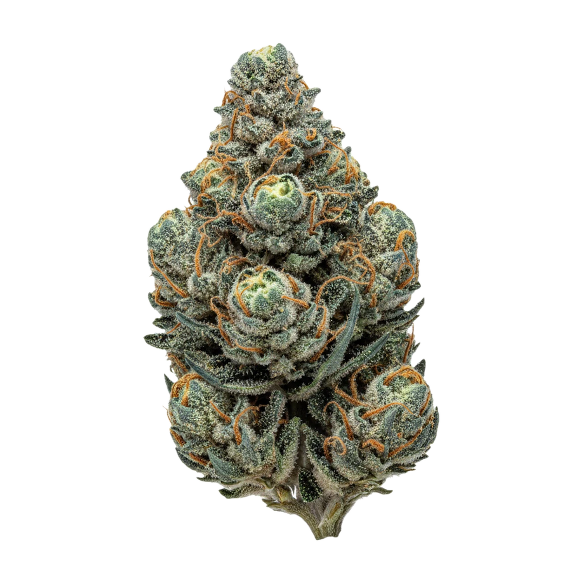 KI-generierte Illustration einer Cannabisblüte, zeigt nicht die tatsächliche Charge – Cannamedical Hybrid Forte KA 22/1 "Gelato Lemon"