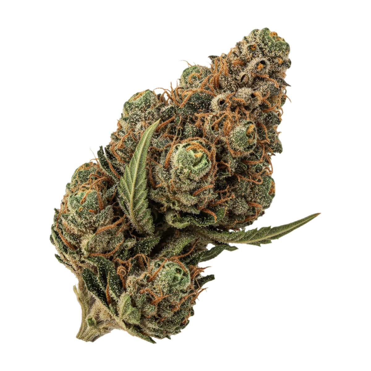 KI-generierte Illustration einer Cannabisblüte, zeigt nicht die tatsächliche Charge – Cannamedical Hybrid Forte SA 22/1 "Blunicorn"
