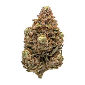 Cannamedical Hybrid Forte 24/1 "Citral Pop"