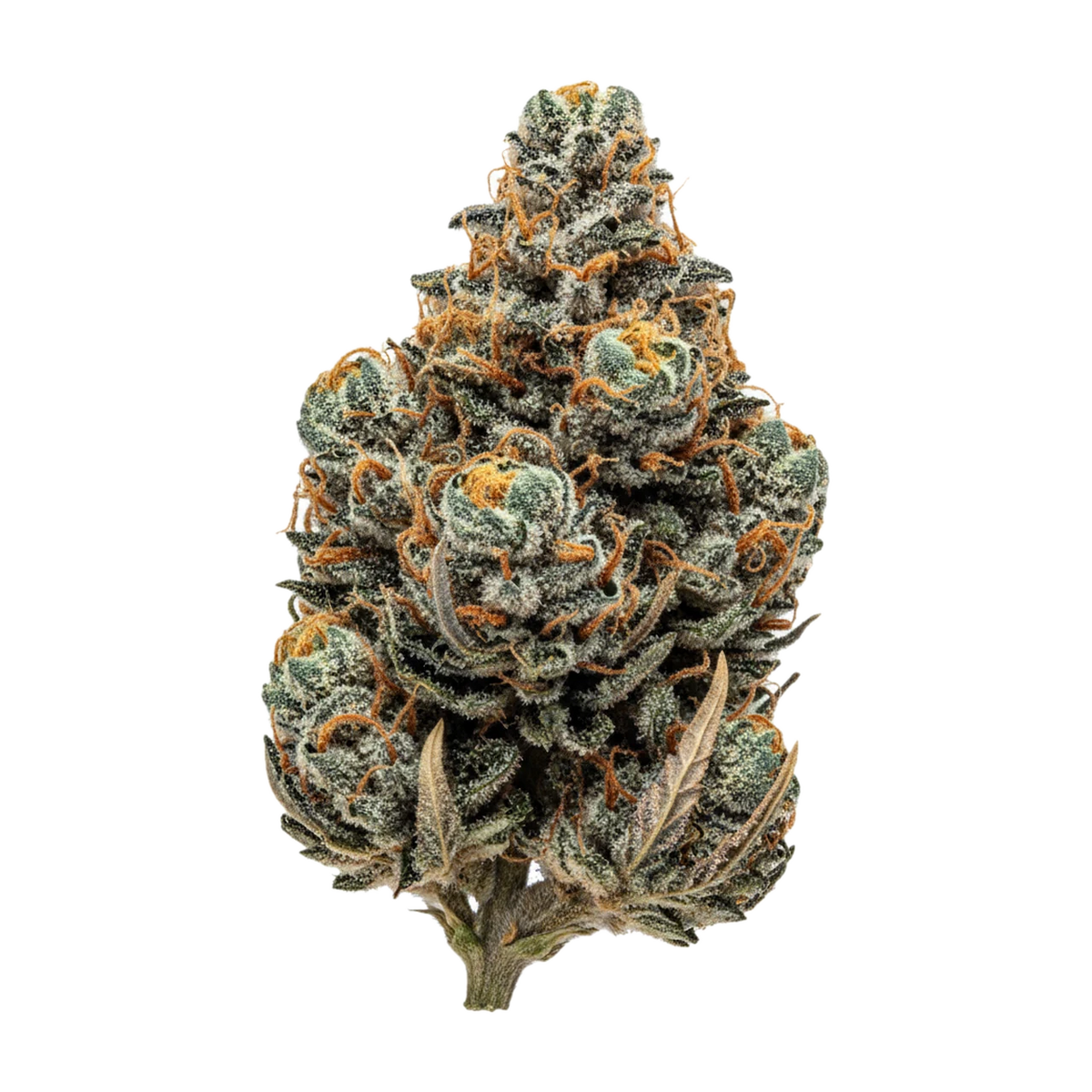 KI-generierte Illustration einer Cannabisblüte, zeigt nicht die tatsächliche Charge – Cannamedical Hybrid Ultra BC 27/1 "Lemon Cookie"