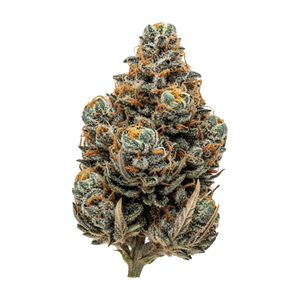 Cannamedical Hybrid Ultra BC 27/1 "Lemon Cookie"