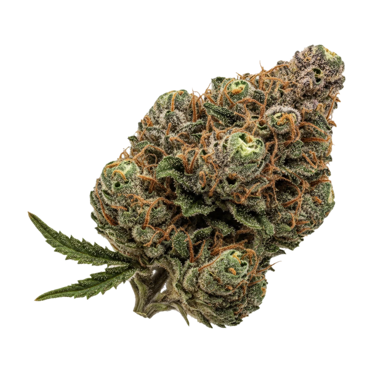 KI-generierte Illustration einer Cannabisblüte, zeigt nicht die tatsächliche Charge – Cannamedical Indica Classic DK 20/1 "Sky Berry Kush"