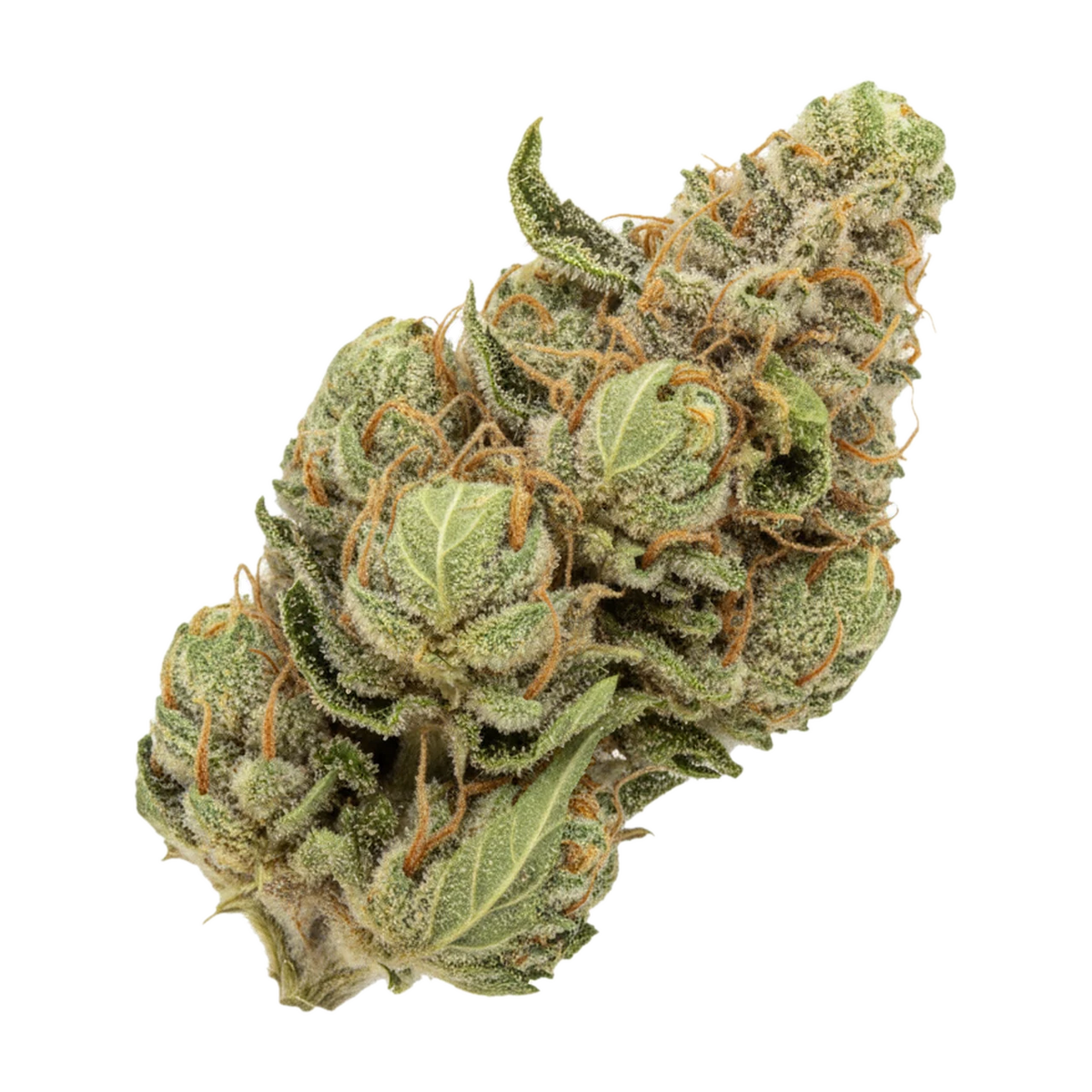 KI-generierte Illustration einer Cannabisblüte, zeigt nicht die tatsächliche Charge – Cannamedical Indica Classic ZAF 21/1 "Black Cherry Punch"