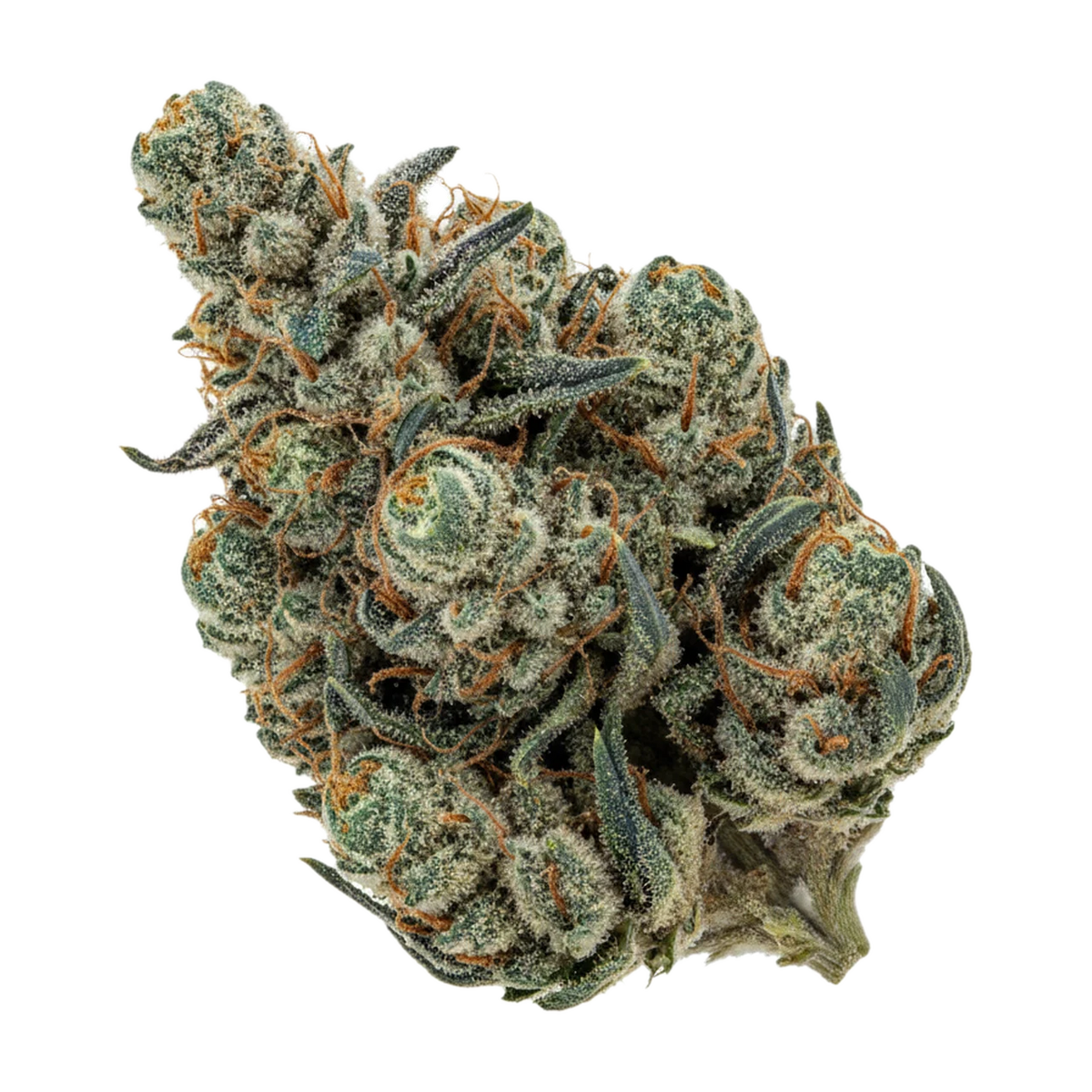 KI-generierte Illustration einer Cannabisblüte, zeigt nicht die tatsächliche Charge – Cannamedical Indica "El Jefe"