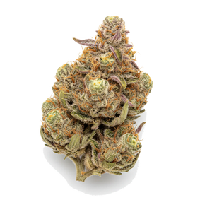 Cannamedical Indica Forte BC 24/1 "Tangerine Boost"