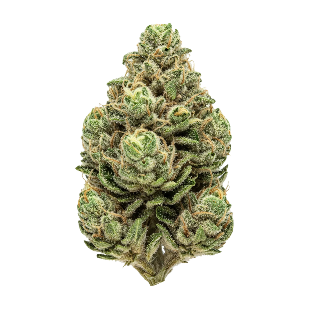 KI-generierte Illustration einer Cannabisblüte, zeigt nicht die tatsächliche Charge – Cannamedical Indica Ultra AU 28/1 "Green Delight"