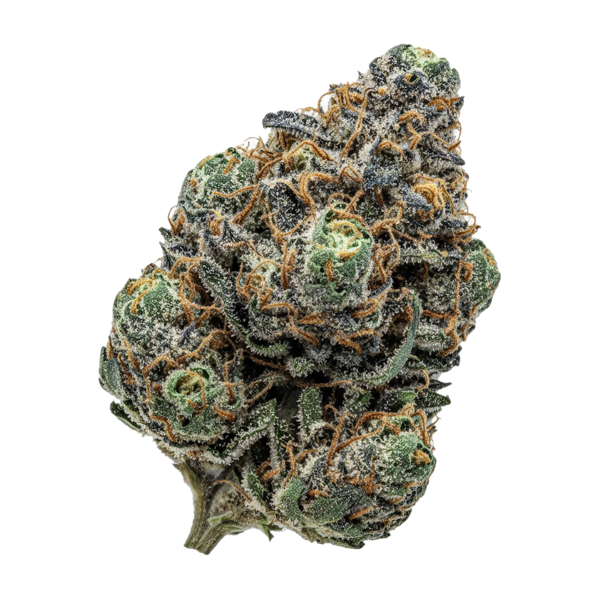 KI-generierte Illustration einer Cannabisblüte, zeigt nicht die tatsächliche Charge – Cannamedical Indica Ultra ES 26/1 "Papaya Boom"