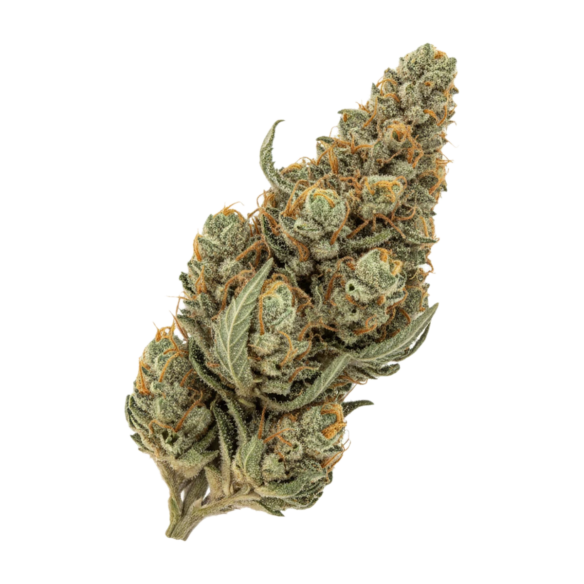 KI-generierte Illustration einer Cannabisblüte, zeigt nicht die tatsächliche Charge – Cannamedical Sativa "Tangie Chem"