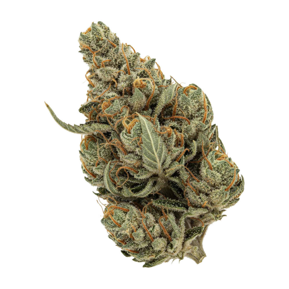 KI-generierte Illustration einer Cannabisblüte, zeigt nicht die tatsächliche Charge – Cannamedical Sativa Classic 20/1 "Lemon Slushie"