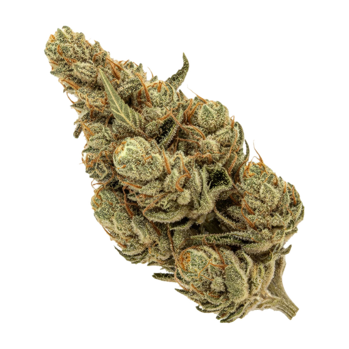KI-generierte Illustration einer Cannabisblüte, zeigt nicht die tatsächliche Charge – Cannamedical Sativa Forte ES 25/1 "Banjo"