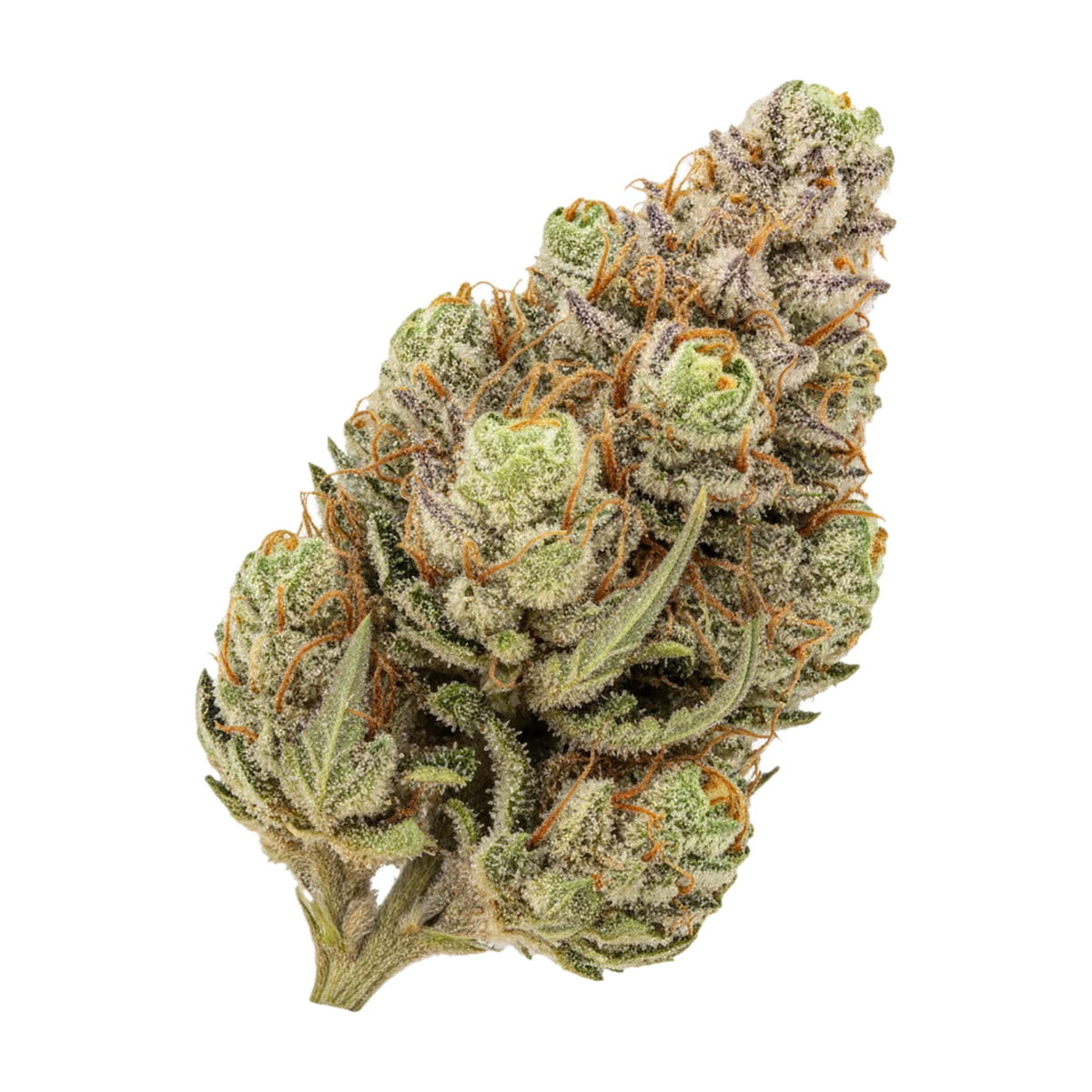 KI-generierte Illustration einer Cannabisblüte, zeigt nicht die tatsächliche Charge – Cannamedical Sativa Forte NM 24/1 "Wedding Tree"