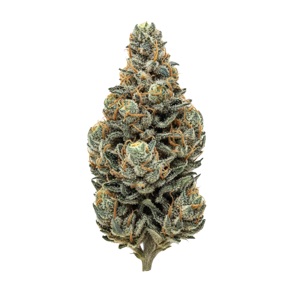 KI-generierte Illustration einer Cannabisblüte, zeigt nicht die tatsächliche Charge – Cannamedical Sativa Ultra ES 31/1 "Chem de la Chem"