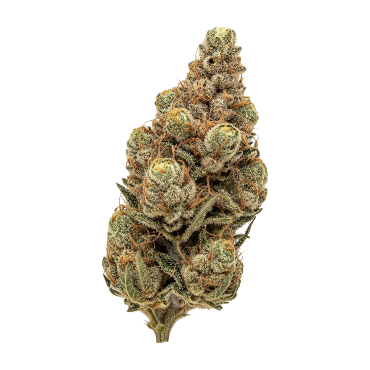 KI-generierte Illustration einer Cannabisblüte, zeigt nicht die tatsächliche Charge – Cannamedical Sativa Ultra ES 31/1 "Nova"