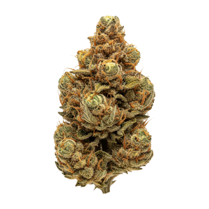 Cannamedical Sativa Ultra NM 29/1 "Polar Cookies"