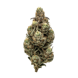 Cantourage MAC 1+ 27/1 "Miracle Alien Cookies"