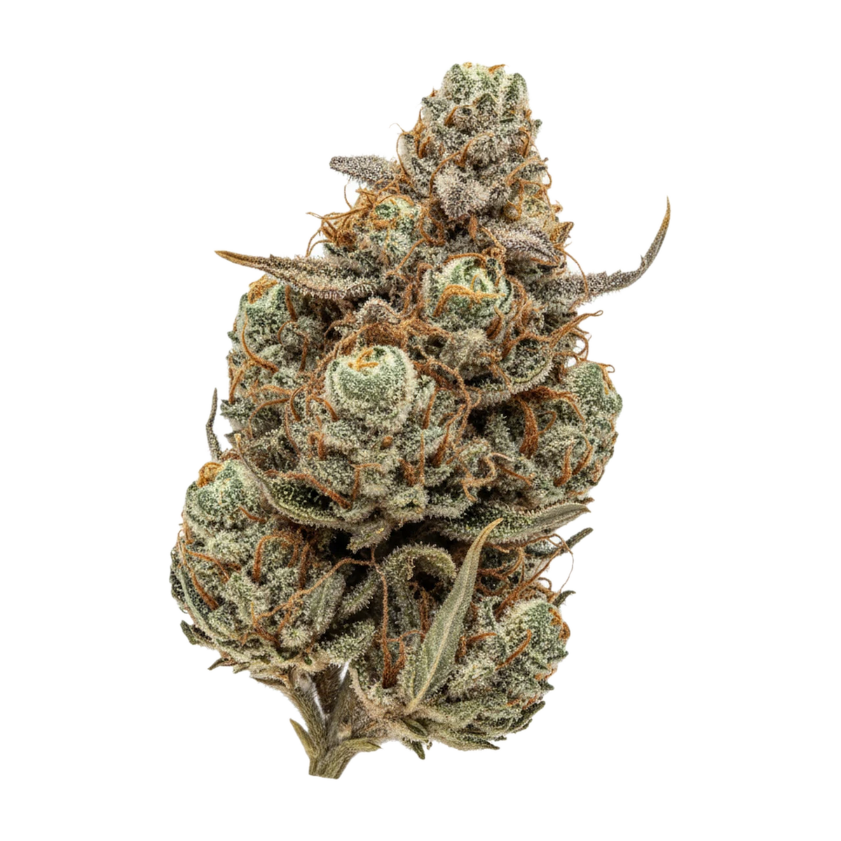 KI-generierte Illustration einer Cannabisblüte, zeigt nicht die tatsächliche Charge – Ceres VT 29/1 "Vanilla Train"