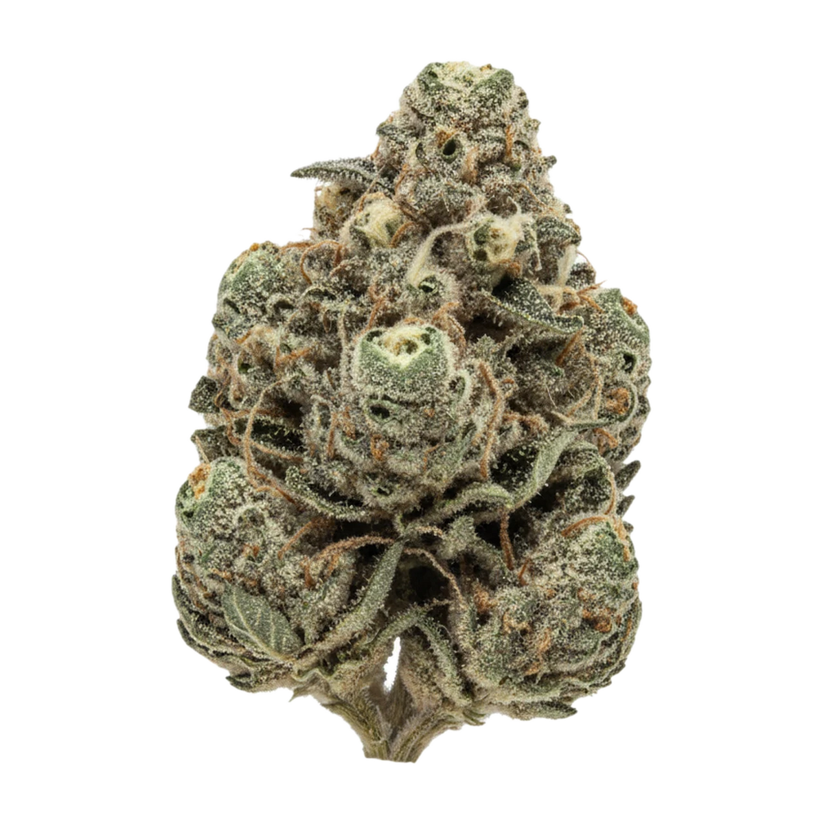 KI-generierte Illustration einer Cannabisblüte, zeigt nicht die tatsächliche Charge – Cookies 22/1 "Hawaiian Rain"