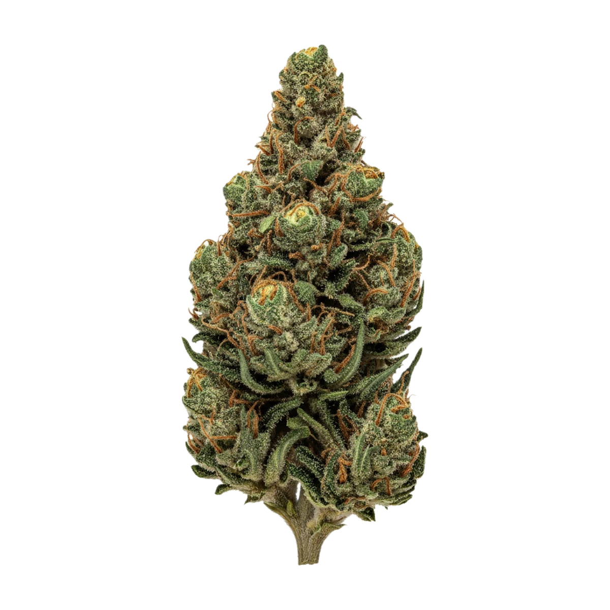 KI-generierte Illustration einer Cannabisblüte, zeigt nicht die tatsächliche Charge – DEMECAN 27/1 SL Strong Drop "Tropicake"