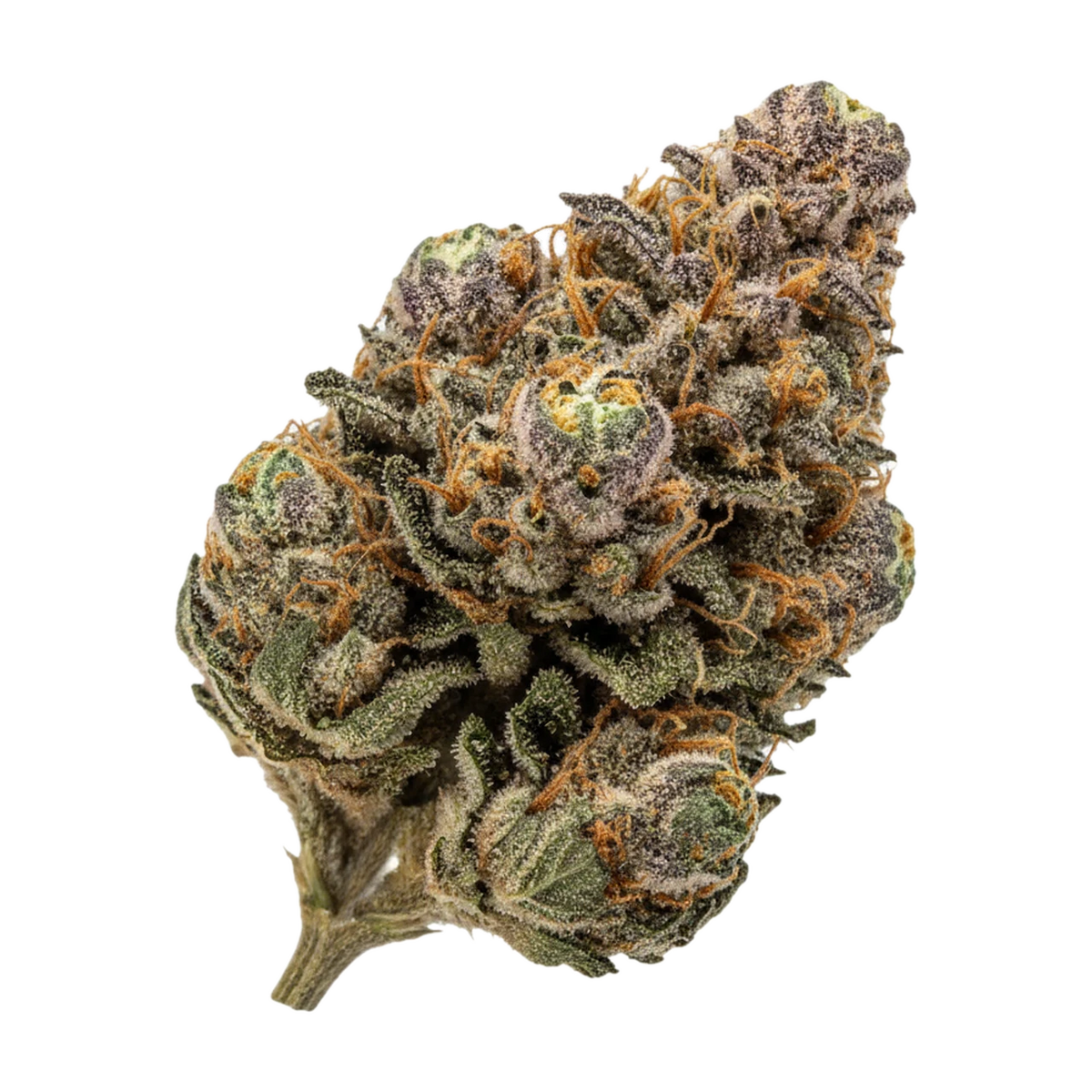 KI-generierte Illustration einer Cannabisblüte, zeigt nicht die tatsächliche Charge – DEMECAN BCP Lean Drop 22/1 "Lemon Cherry Gelato"