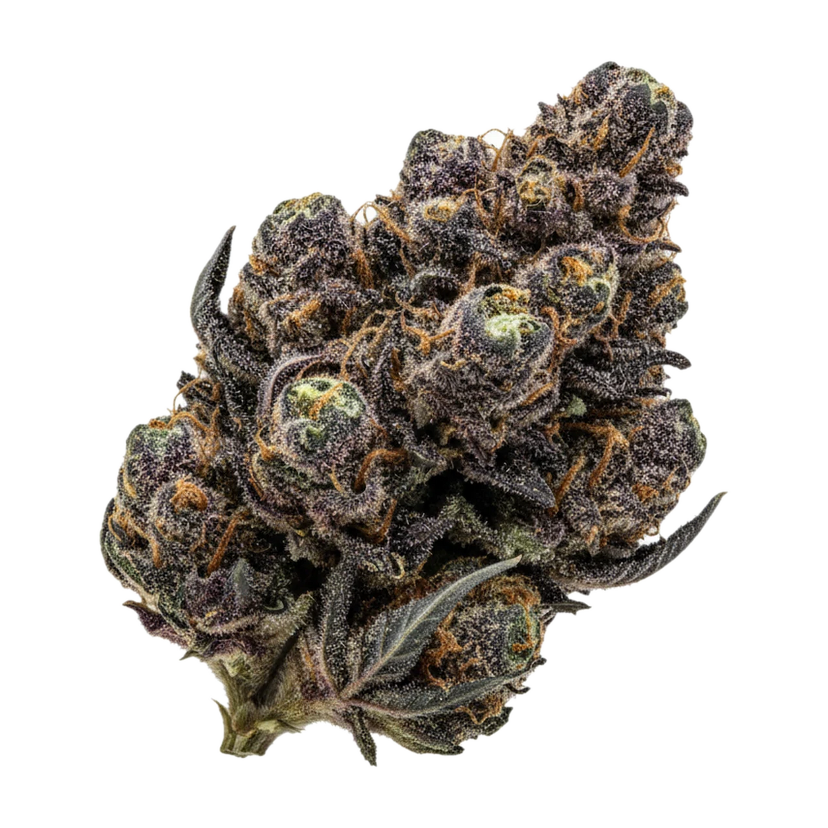 KI-generierte Illustration einer Cannabisblüte, zeigt nicht die tatsächliche Charge – DEMECAN Core Golden Horizon 30/1 "Golden GOAT"