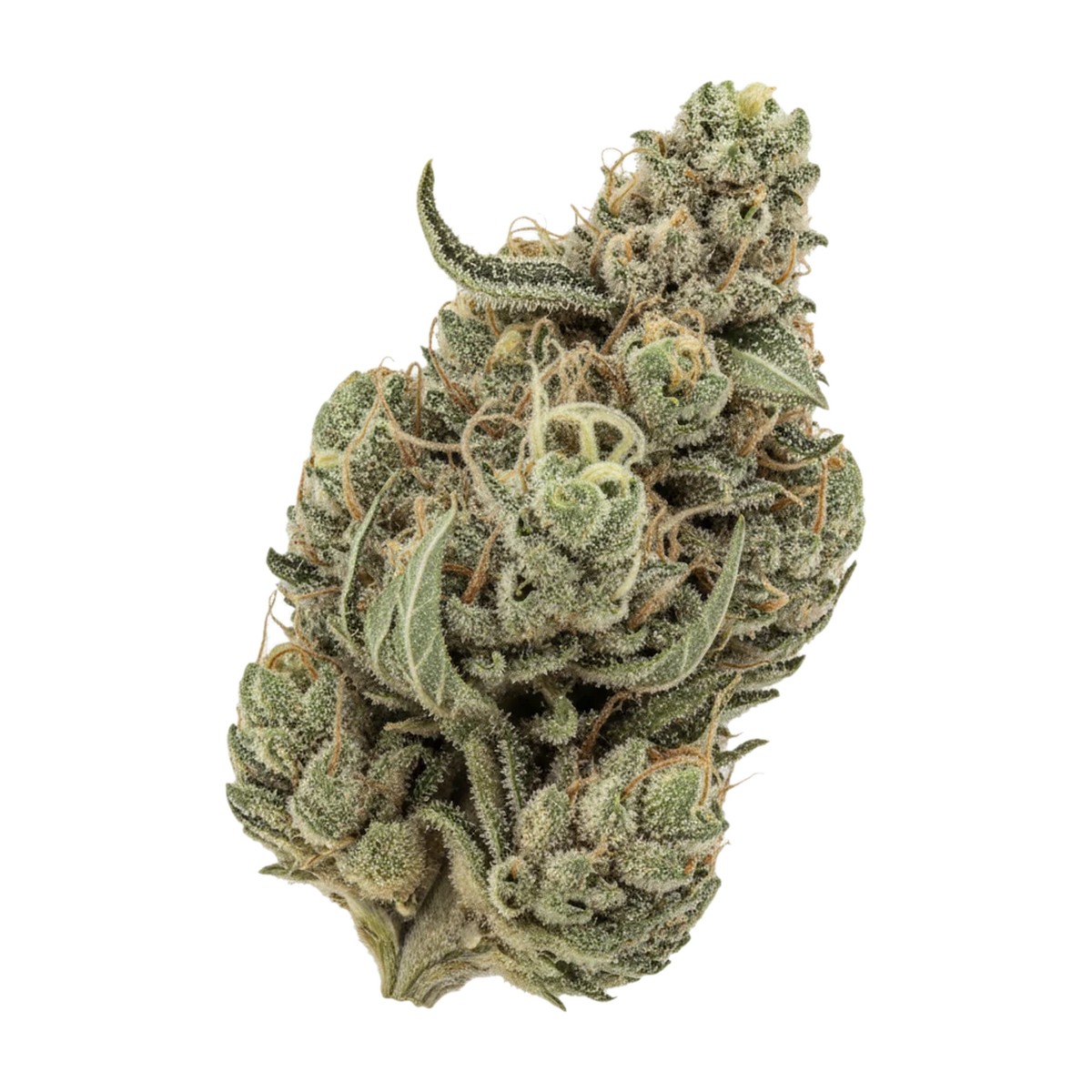 KI-generierte Illustration einer Cannabisblüte, zeigt nicht die tatsächliche Charge – DEMECAN Core Horizon 27/1 "Lava Cake"