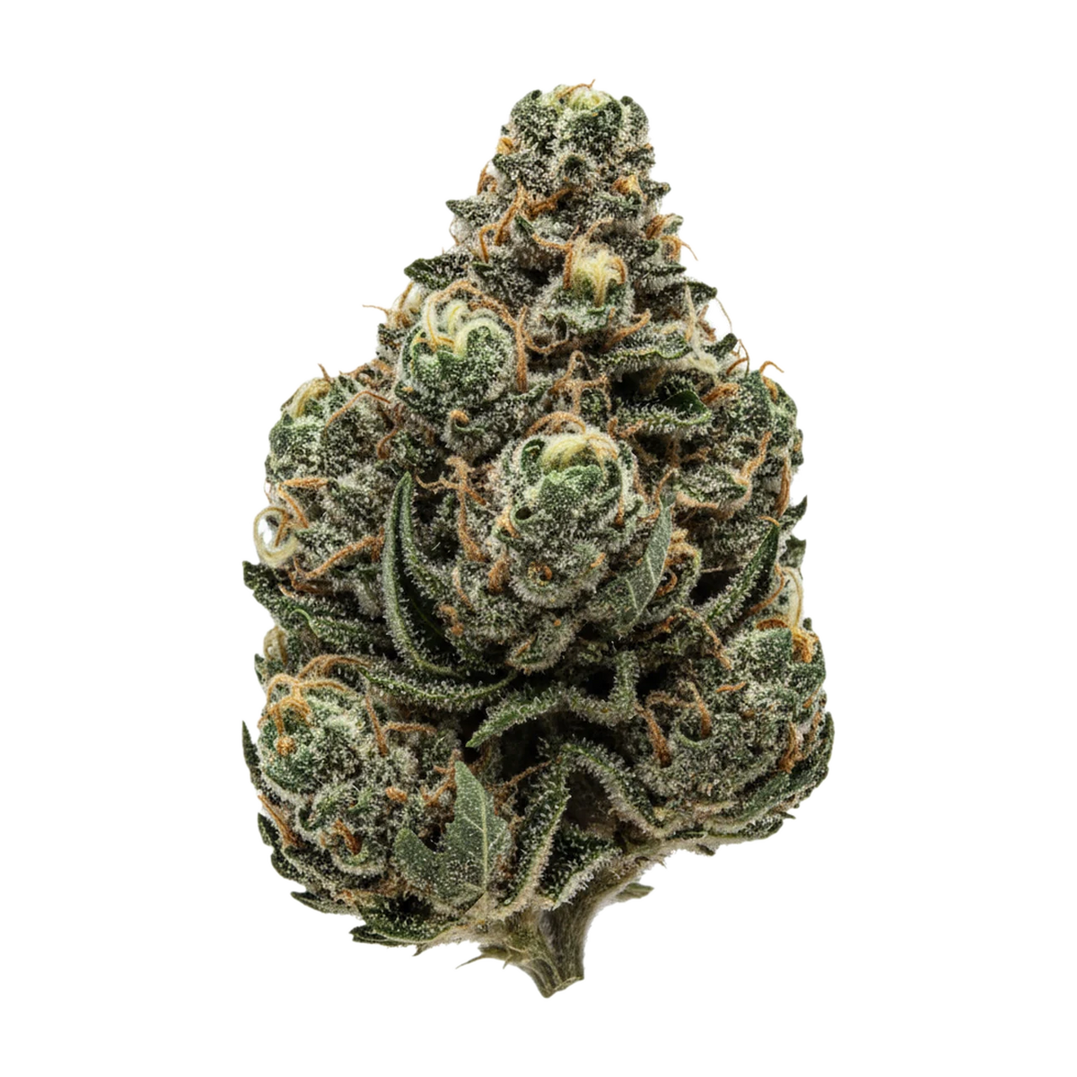 KI-generierte Illustration einer Cannabisblüte, zeigt nicht die tatsächliche Charge – DEMECAN Core ICC "Ice Cream Cake"