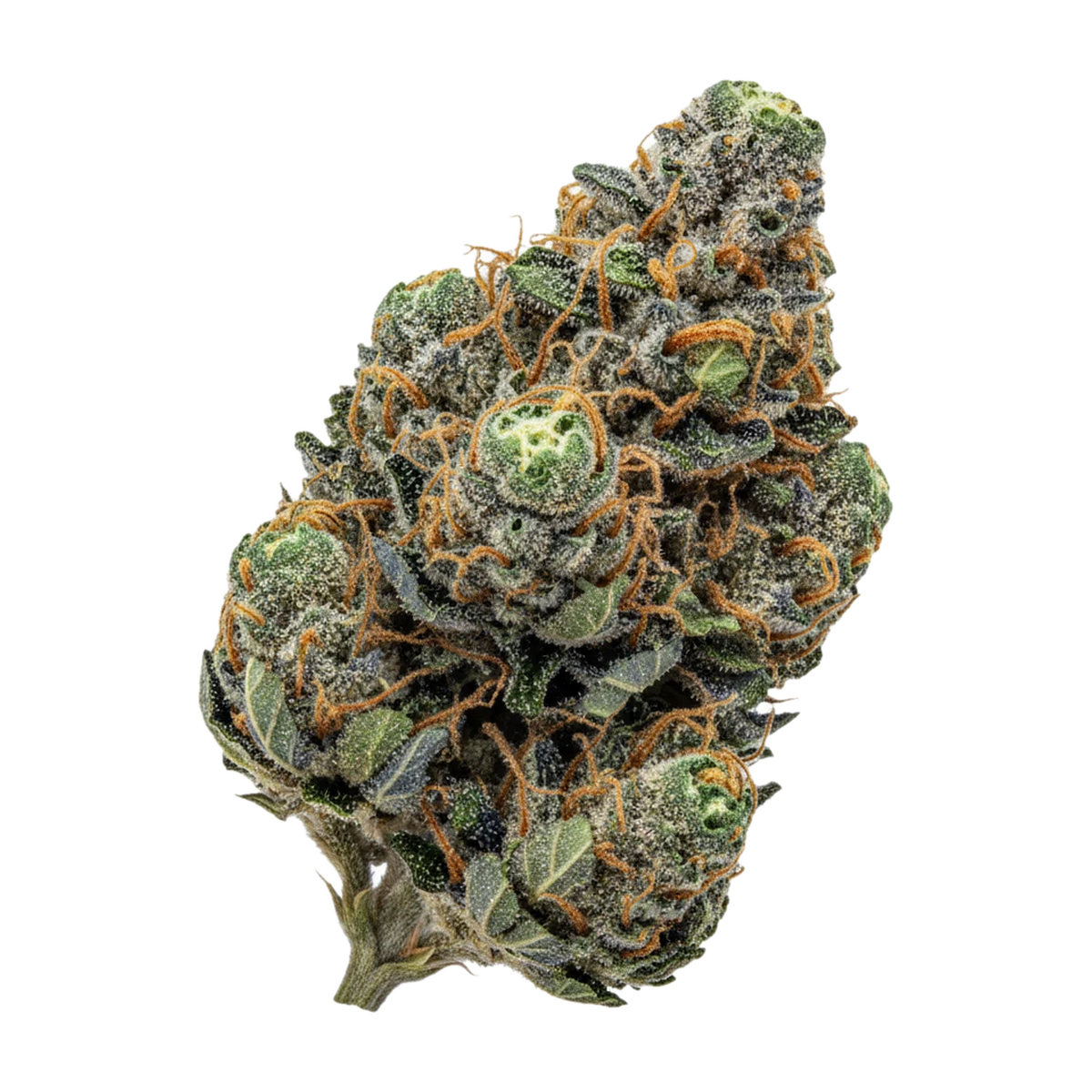 KI-generierte Illustration einer Cannabisblüte, zeigt nicht die tatsächliche Charge – DEMECAN Core MND 22/1 "Mandarin Gold"