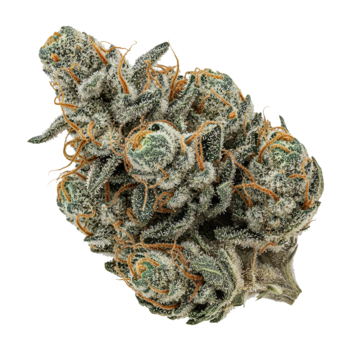 KI-generierte Illustration einer Cannabisblüte, zeigt nicht die tatsächliche Charge – DEMECAN Core OG 21/1 "OG Kush"