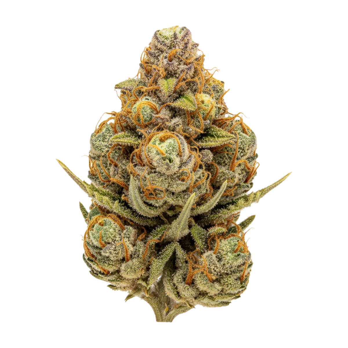 KI-generierte Illustration einer Cannabisblüte, zeigt nicht die tatsächliche Charge – DEMECAN Core ORNG 19/1 "Orange Dreamsicles"