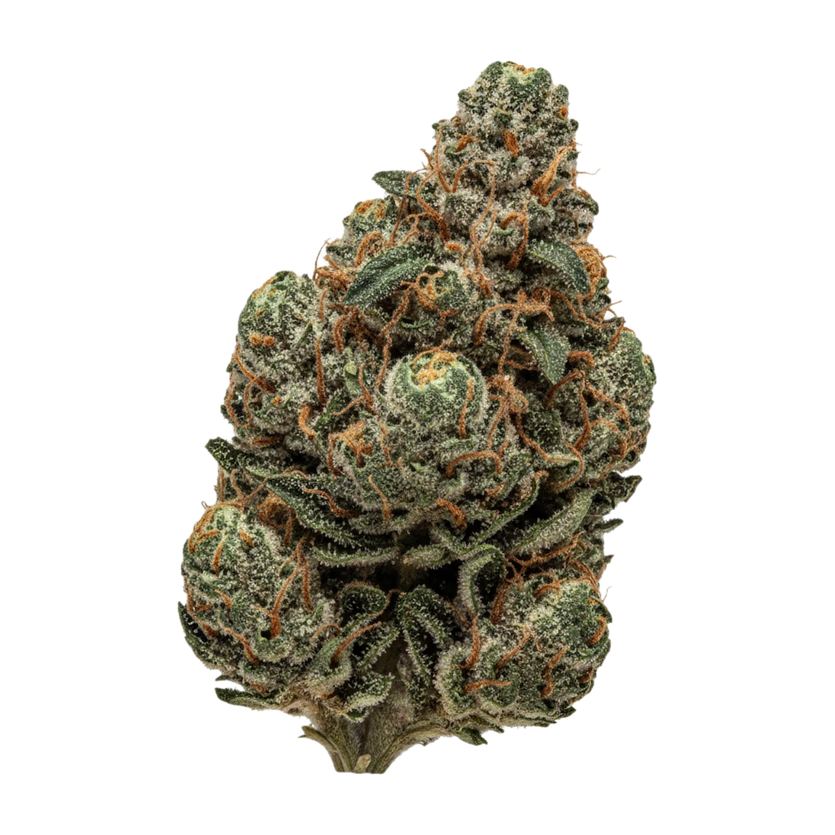 KI-generierte Illustration einer Cannabisblüte, zeigt nicht die tatsächliche Charge – DEMECAN Core OZK x CC 24/1 "OZ Kush x Coffin Candy"