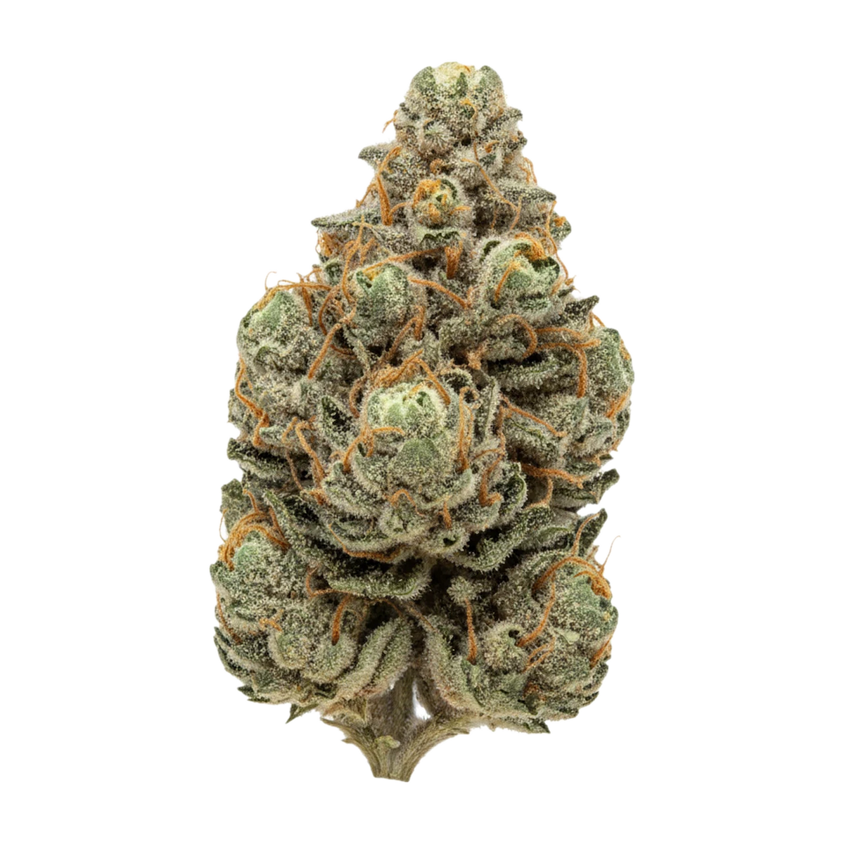 KI-generierte Illustration einer Cannabisblüte, zeigt nicht die tatsächliche Charge – DEMECAN Core Purple Twist 26/1 "Rainbow Sherbert 11"