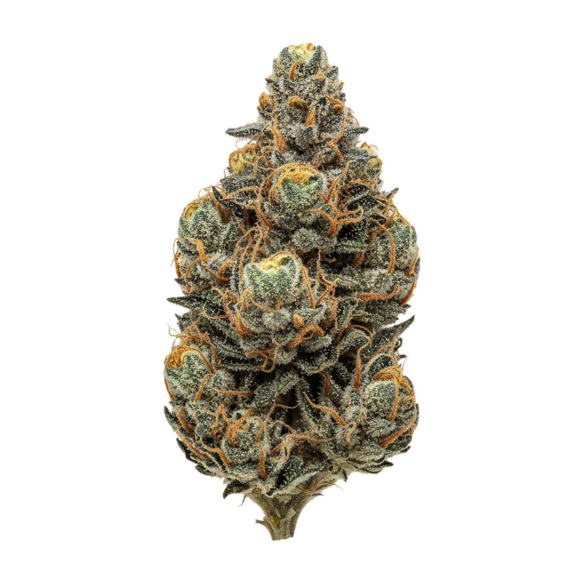KI-generierte Illustration einer Cannabisblüte, zeigt nicht die tatsächliche Charge – DEMECAN Core Veloz 27/1 "Power"