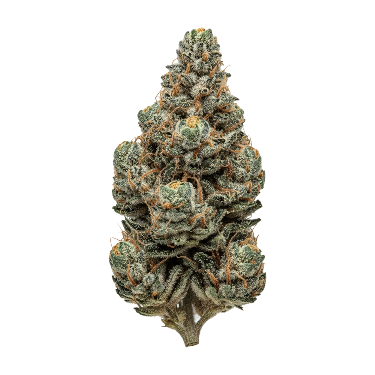 KI-generierte Illustration einer Cannabisblüte, zeigt nicht die tatsächliche Charge – DEMECAN Craft Aloha 34/1 "98 Aloha WW x Trainwreck"