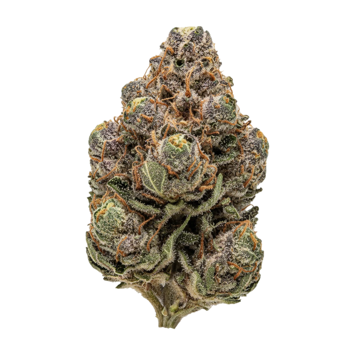 KI-generierte Illustration einer Cannabisblüte, zeigt nicht die tatsächliche Charge – DEMECAN Craft D-Jungle "Purple-Punch x Jungle Cake"