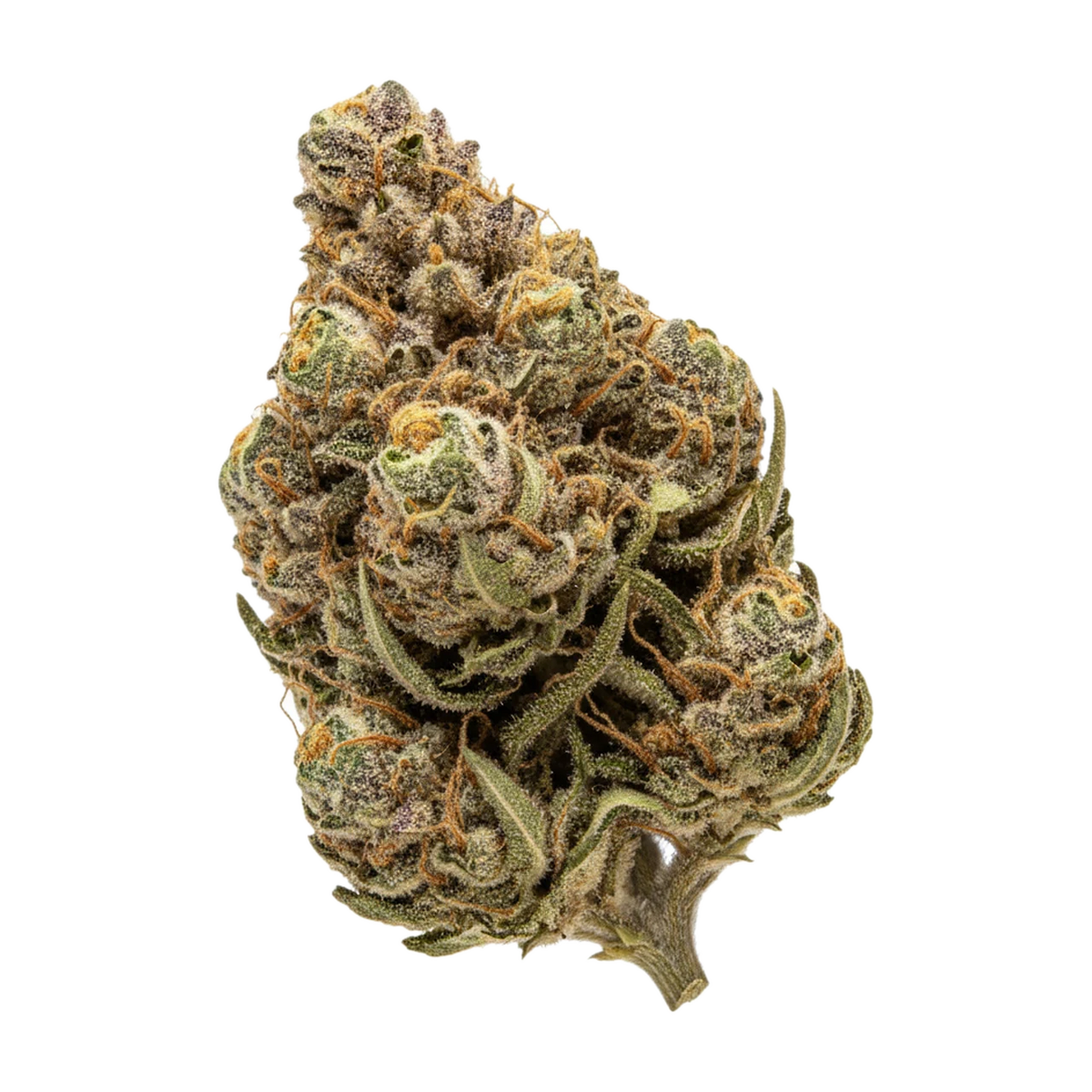 KI-generierte Illustration einer Cannabisblüte, zeigt nicht die tatsächliche Charge – DEMECAN Craft Dante 30/1 "Dante's Inferno"