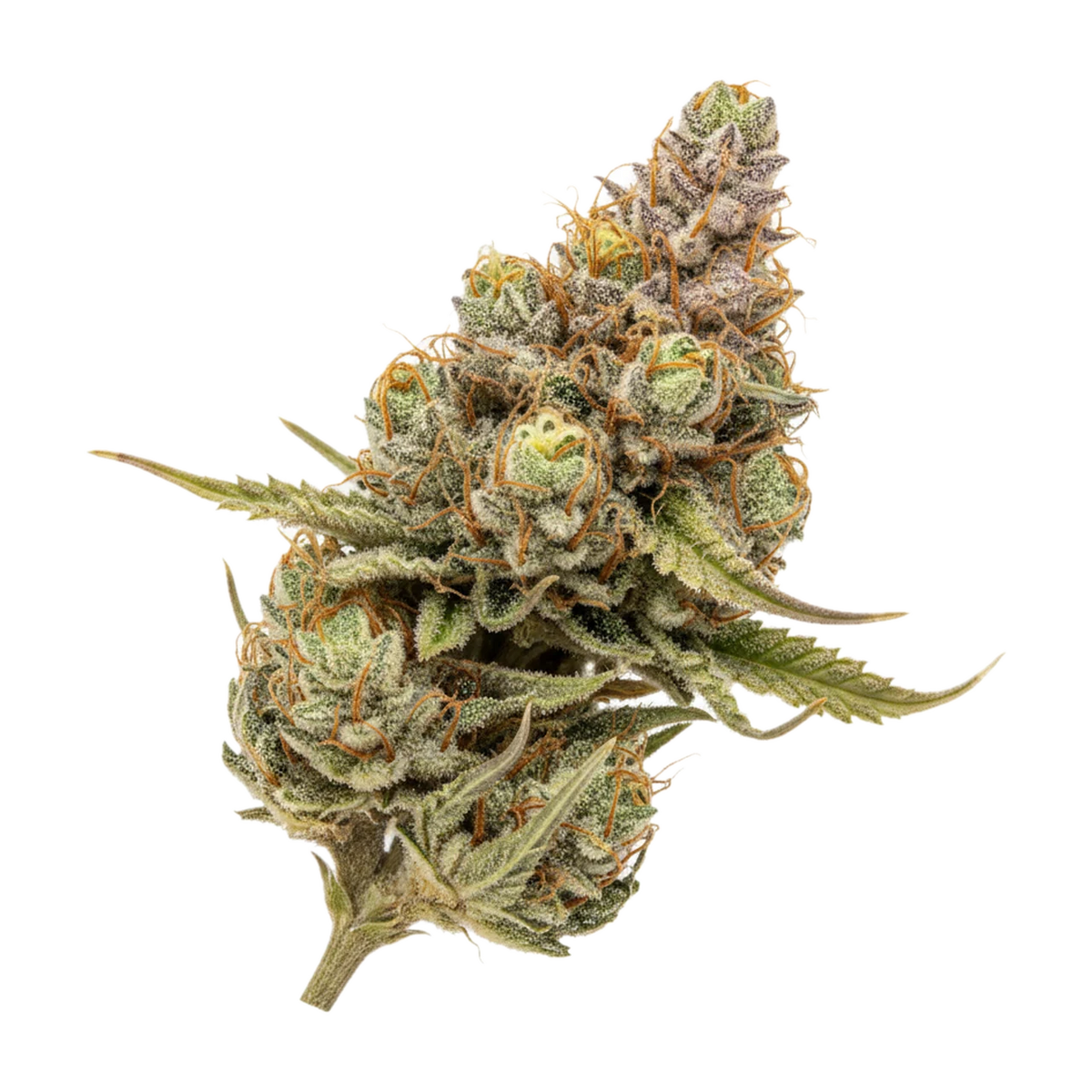 KI-generierte Illustration einer Cannabisblüte, zeigt nicht die tatsächliche Charge – DEMECAN Craft Go 26/1 "Game Over #4"