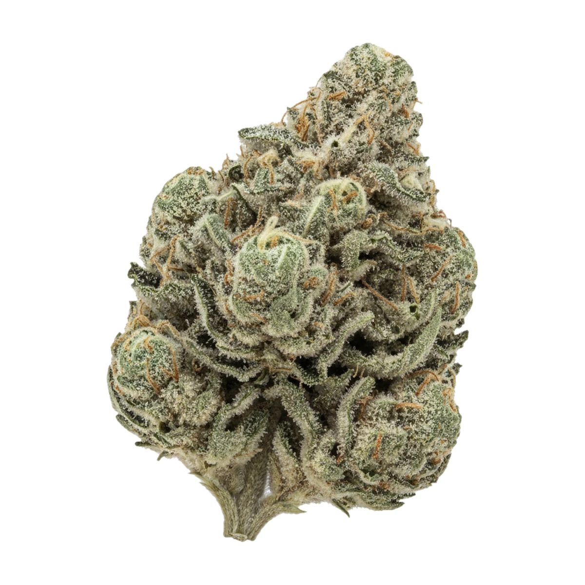 KI-generierte Illustration einer Cannabisblüte, zeigt nicht die tatsächliche Charge – DEMECAN Craft Magister "Black Marker"