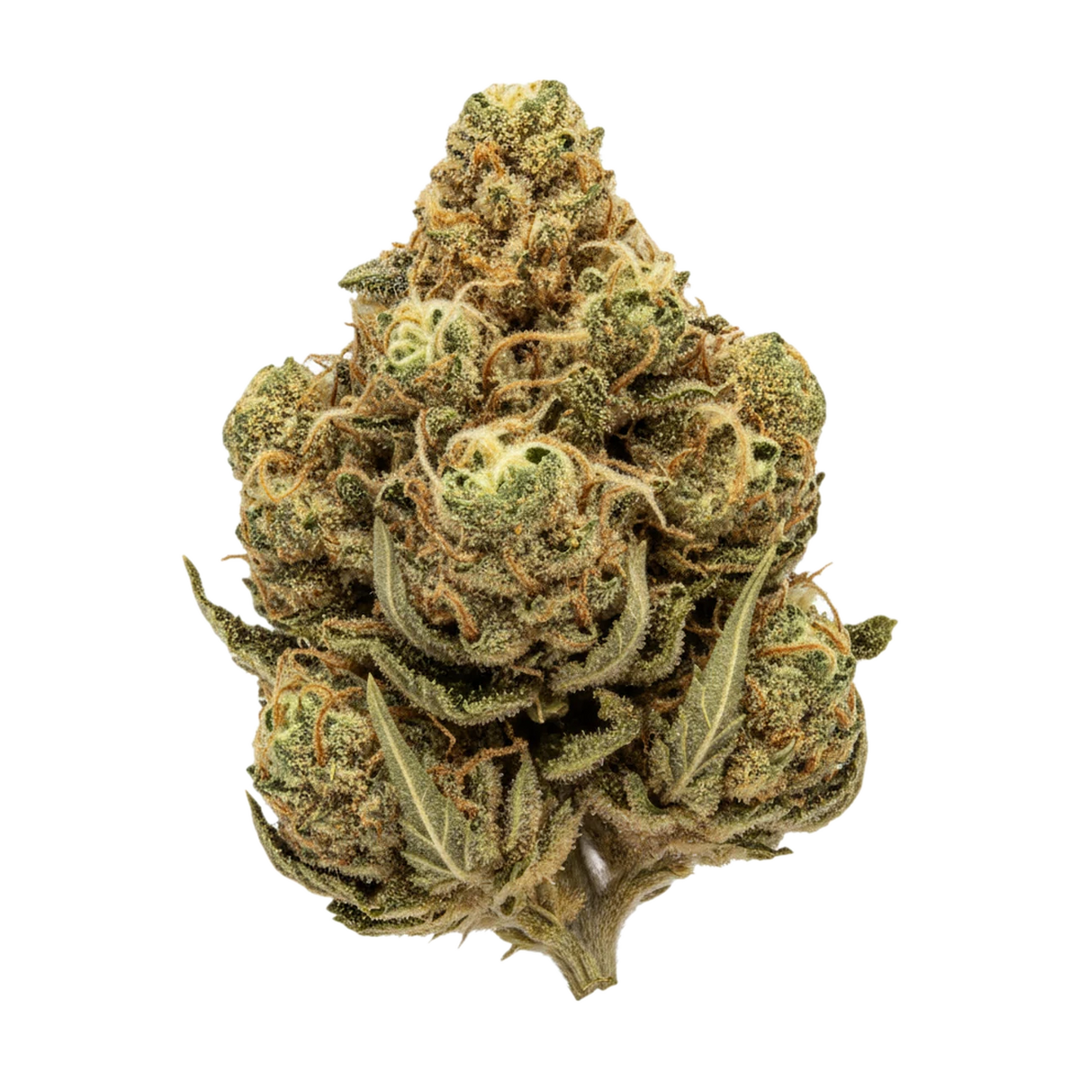KI-generierte Illustration einer Cannabisblüte, zeigt nicht die tatsächliche Charge – DEMECAN Craft Platinum 31/1 "Platinum Mac"