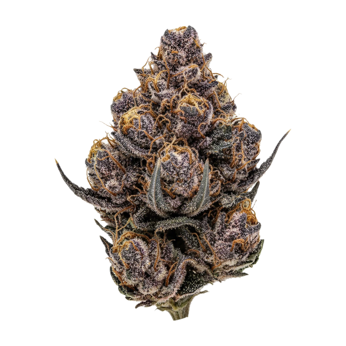 KI-generierte Illustration einer Cannabisblüte, zeigt nicht die tatsächliche Charge – DEMECAN Craft Pulso 27/1 "Liquid Imagination"