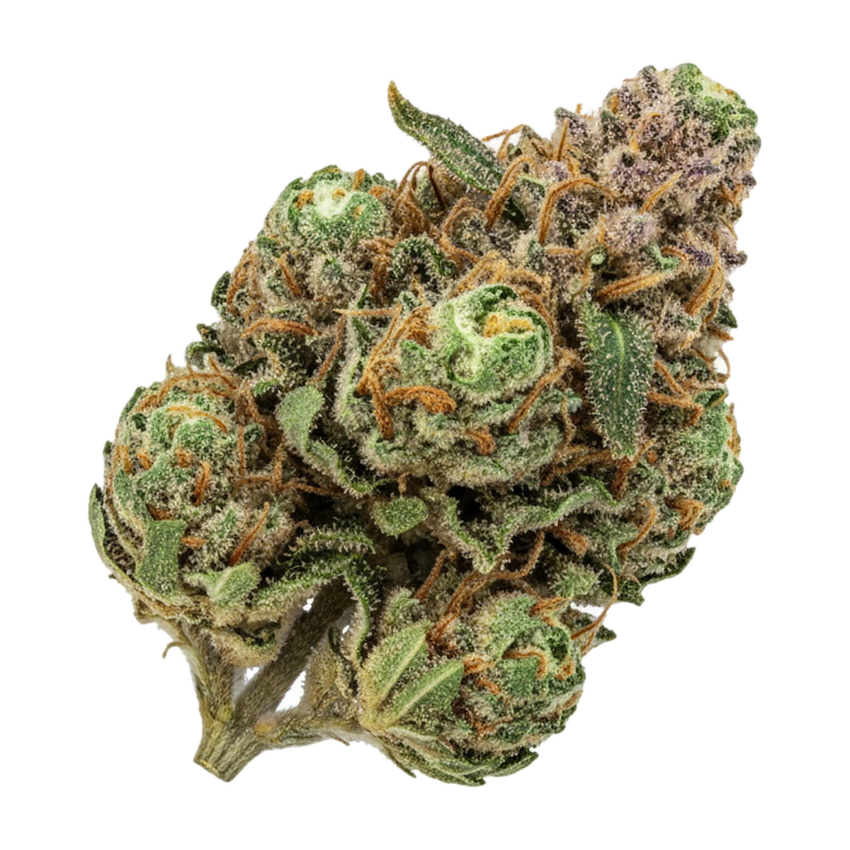 KI-generierte Illustration einer Cannabisblüte, zeigt nicht die tatsächliche Charge – DEMECAN Craft Rocket 31/1 "Pave x Gastro Pop"