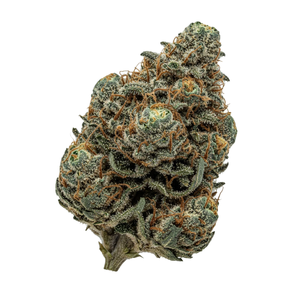 KI-generierte Illustration einer Cannabisblüte, zeigt nicht die tatsächliche Charge – DEMECAN Craft Tigerz Eye 31/1 "Jokerz 31 X Gastropop"