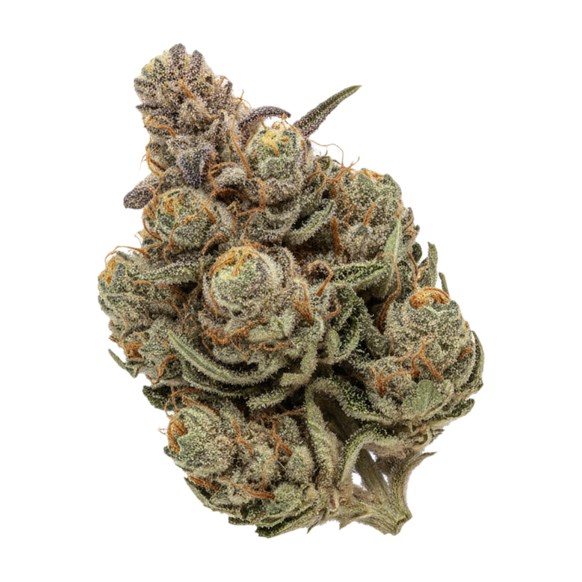 KI-generierte Illustration einer Cannabisblüte, zeigt nicht die tatsächliche Charge – DEMECAN Craft Vert 25/1 "Blueberry Cookies"