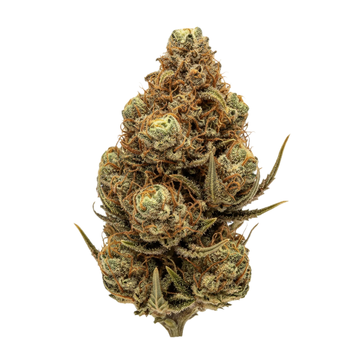 KI-generierte Illustration einer Cannabisblüte, zeigt nicht die tatsächliche Charge – DEMECAN Craft Walkie Talkie 29/1 "Sugar Cake"