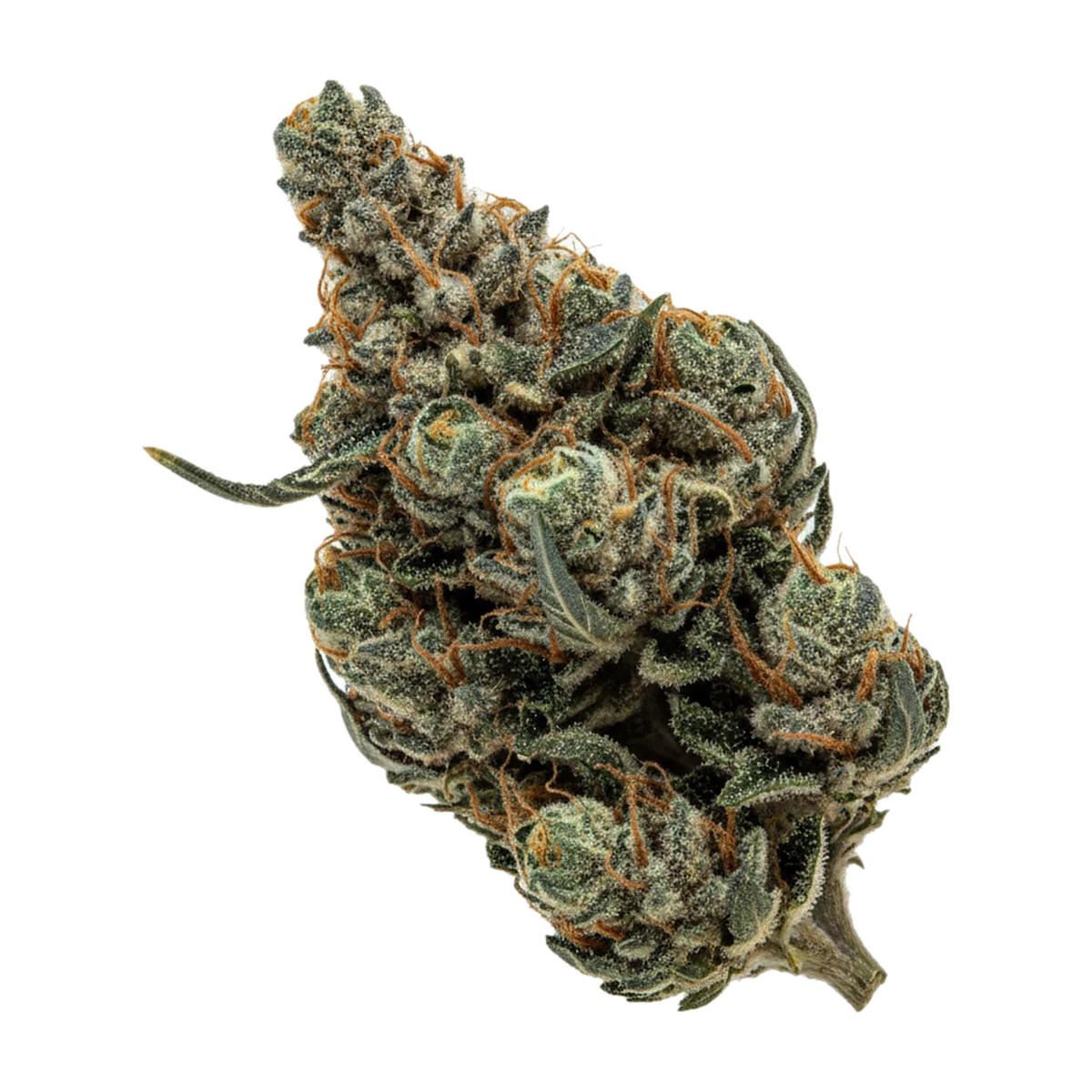 KI-generierte Illustration einer Cannabisblüte, zeigt nicht die tatsächliche Charge – DEMECAN CV Regular Drop 25/1 "Moby Dick"
