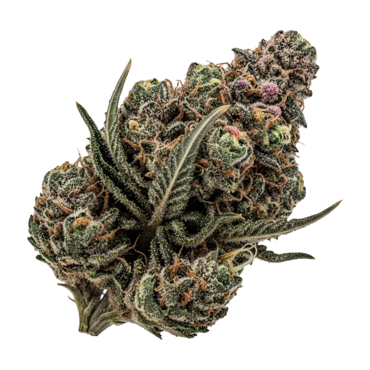 KI-generierte Illustration einer Cannabisblüte, zeigt nicht die tatsächliche Charge – DEMECAN DROP CV Regular 25/1 "Banana Kush"