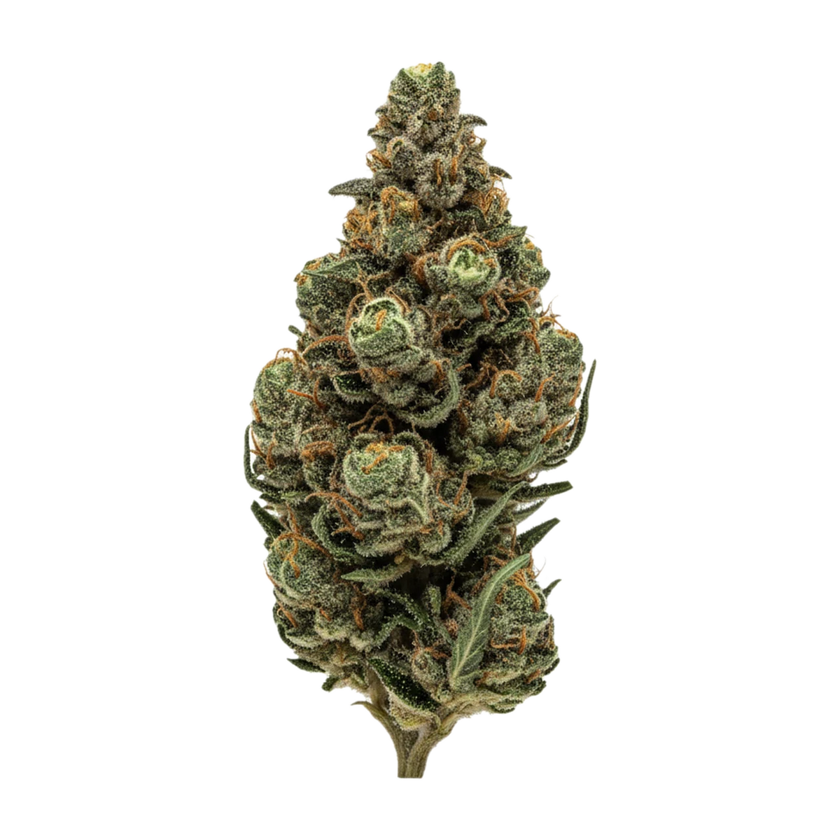 KI-generierte Illustration einer Cannabisblüte, zeigt nicht die tatsächliche Charge – DEMECAN GT Strong Drop 27/1 "Citron Cookies x Biker Kush"