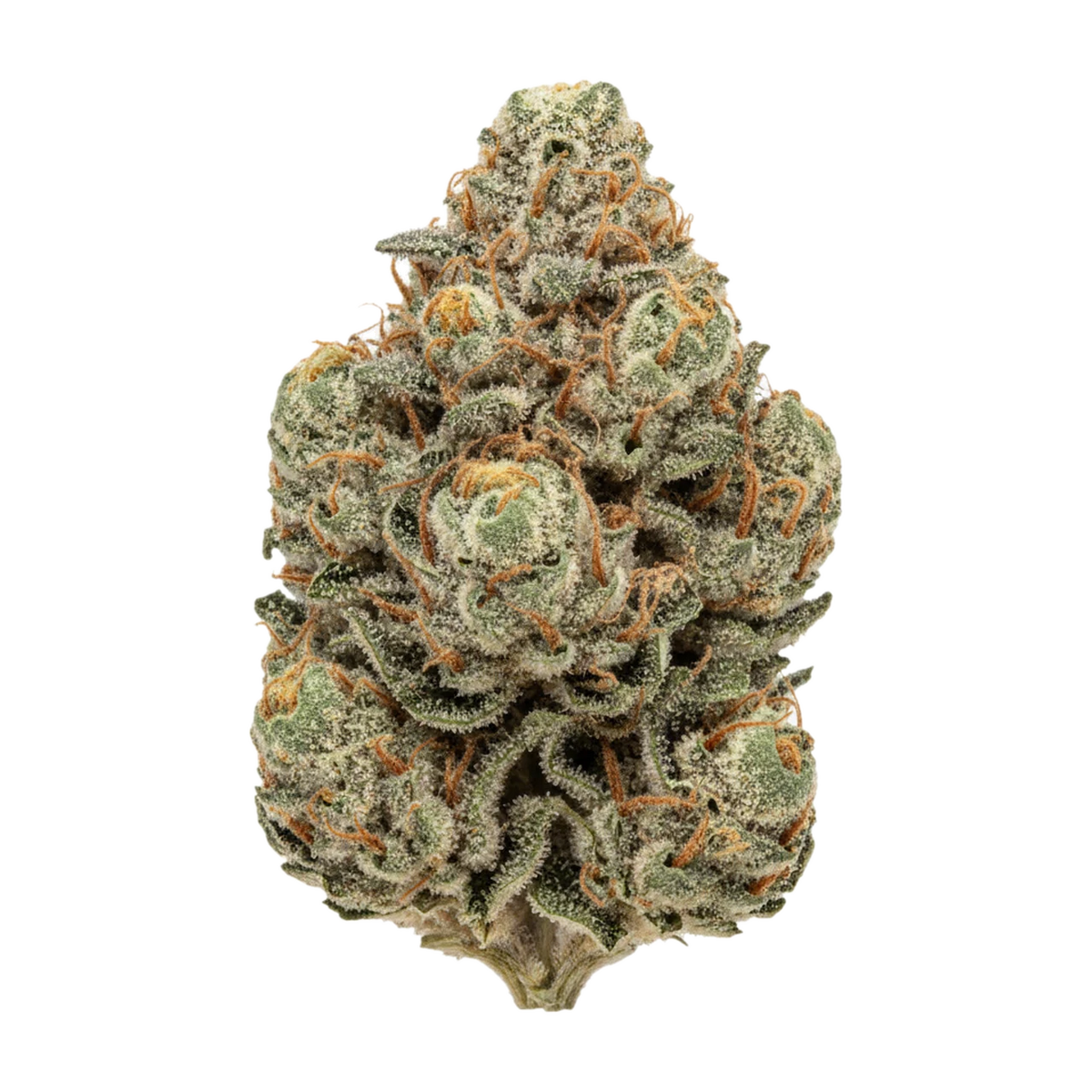 KI-generierte Illustration einer Cannabisblüte, zeigt nicht die tatsächliche Charge – DEMECAN GT Strong Drop 27/1 "Girl Scout Kush"