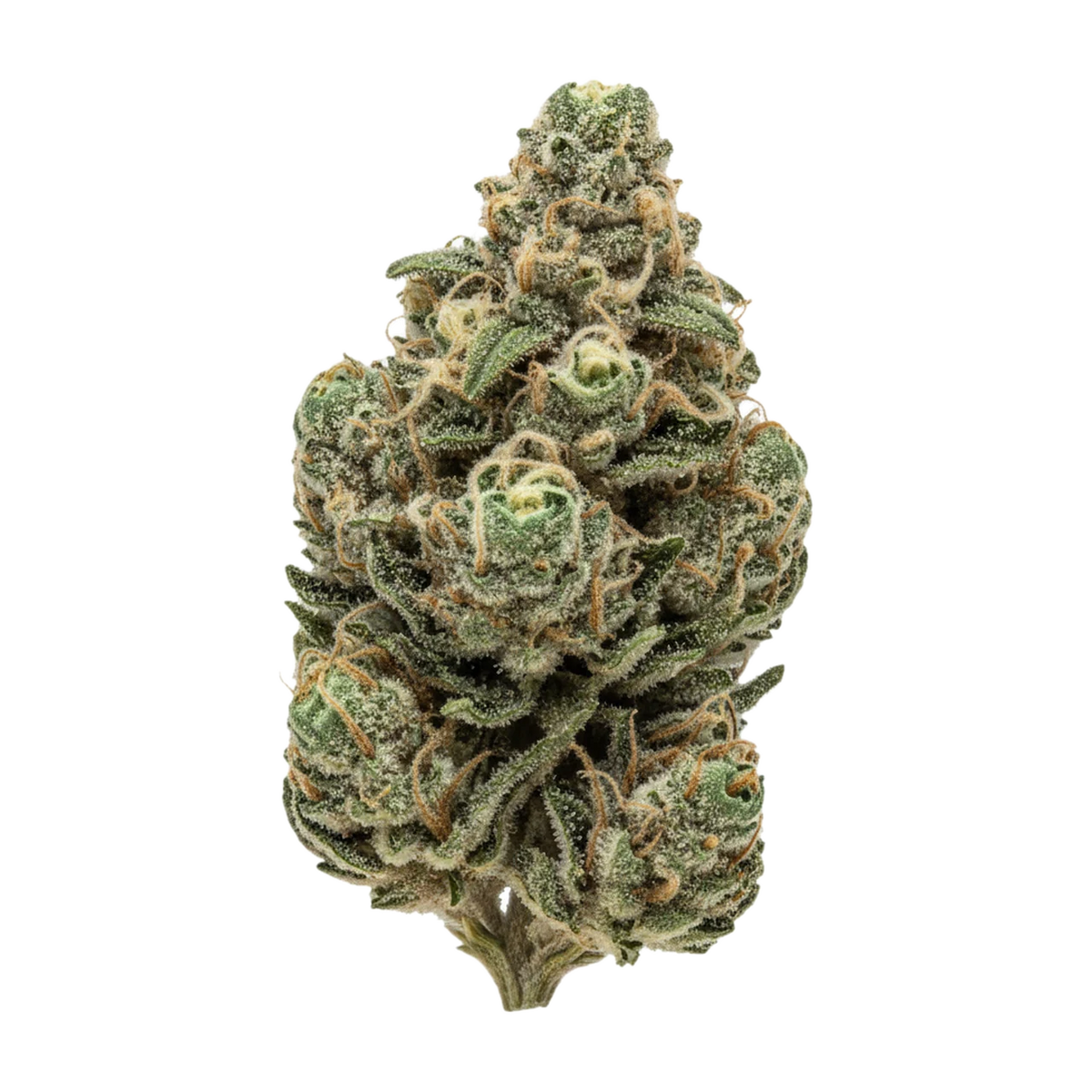 KI-generierte Illustration einer Cannabisblüte, zeigt nicht die tatsächliche Charge – DEMECAN MC Strong Drop 27/1 "Exotic Marker"