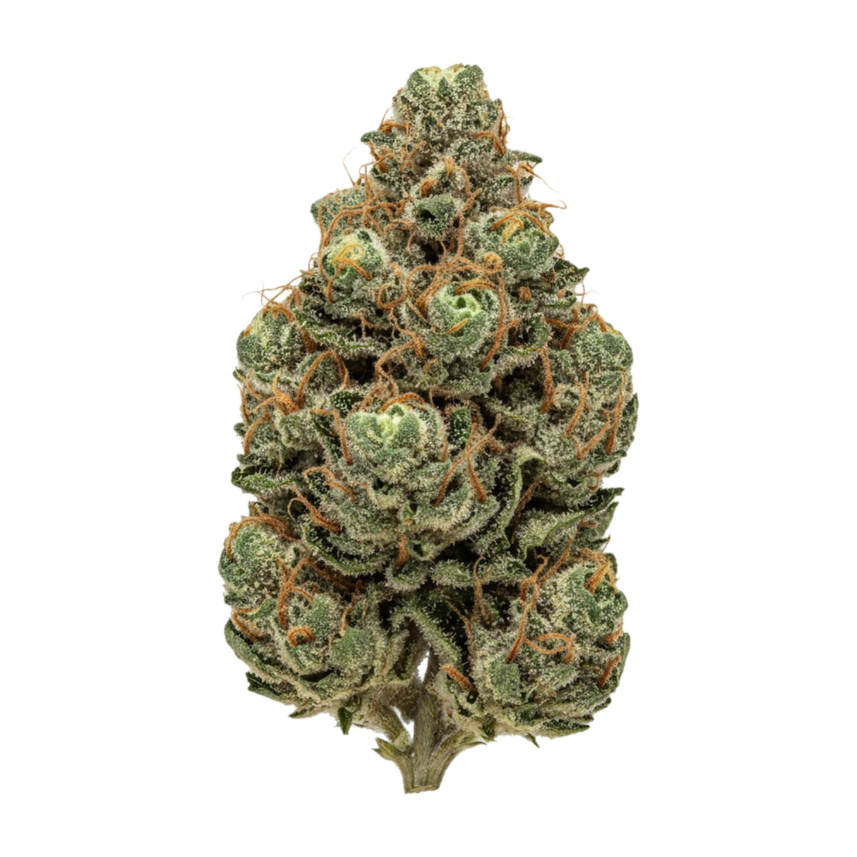 KI-generierte Illustration einer Cannabisblüte, zeigt nicht die tatsächliche Charge – DEMECAN PG Epic Drop 30/1 "Tiger Eyez"